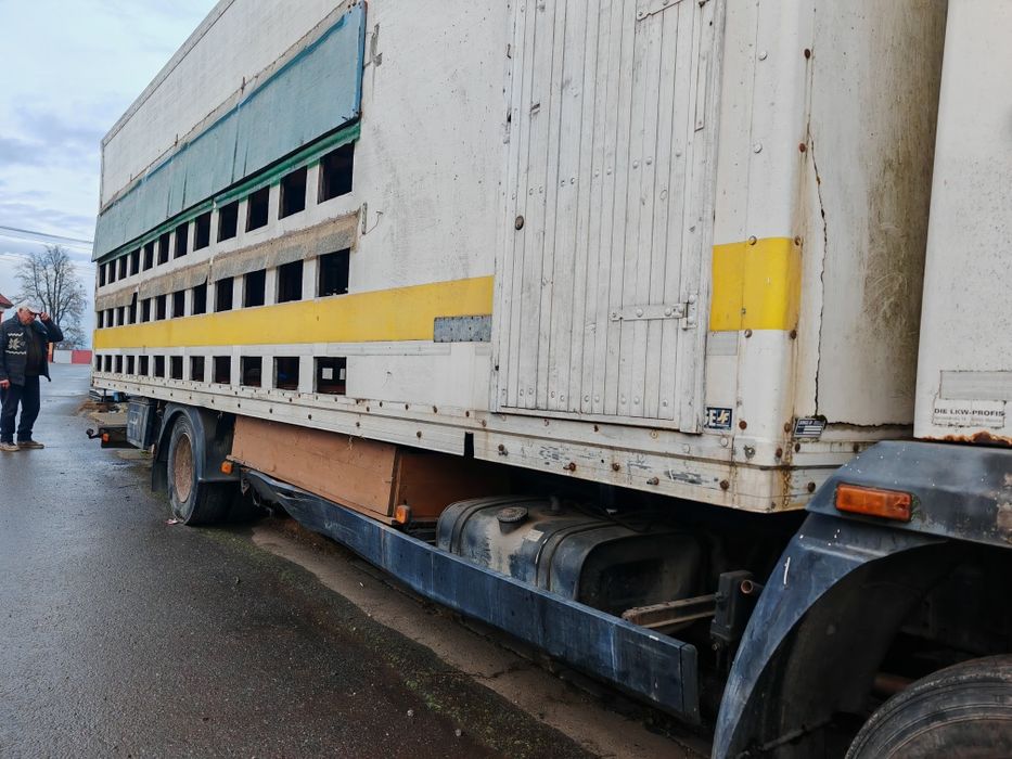 Camion apicol Man 14 tone și STUPI (Mercedes iveco stupi albine centri