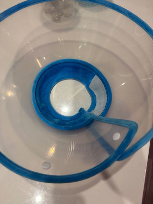 Яка за домашни любимци