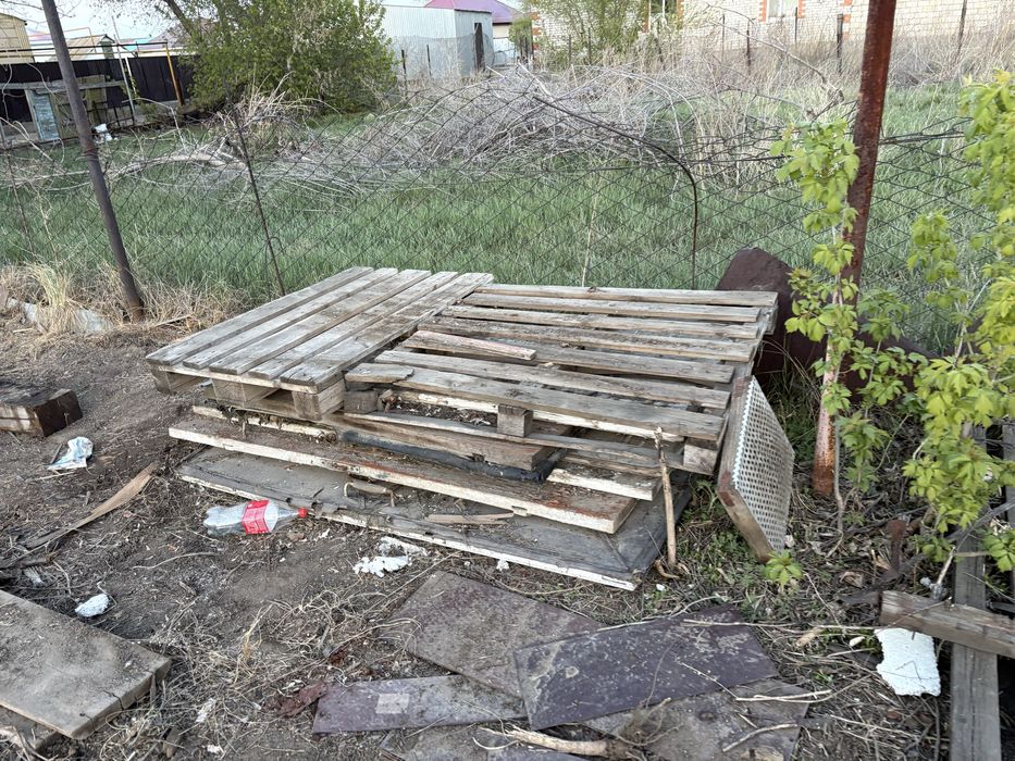 Ағаштар бар,отдам дрова