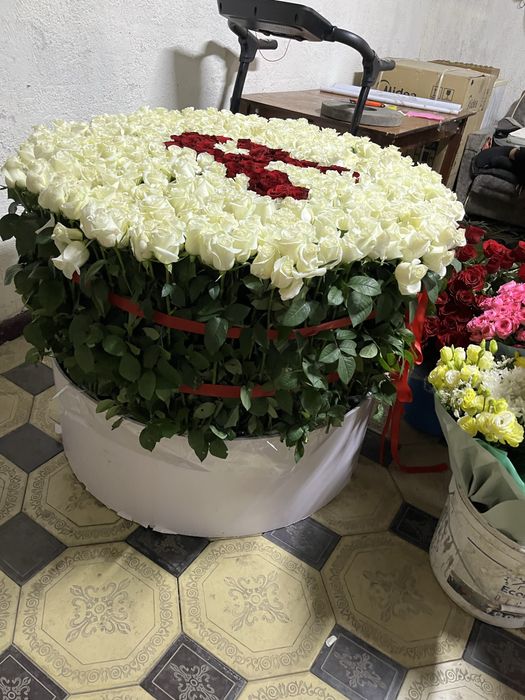 Роза  свежие  1001  шт