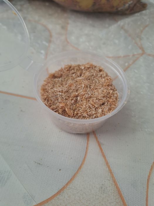 Растения и корм для рыб