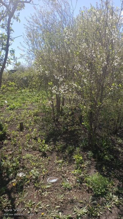 Дача в СО Чапаево.