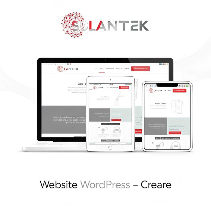 Servicii IT complete