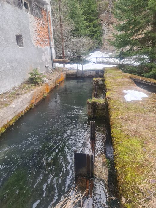 Продава се Земеделски имот в Лъки -  кв.м за 40000 €/дка - Снимка #4