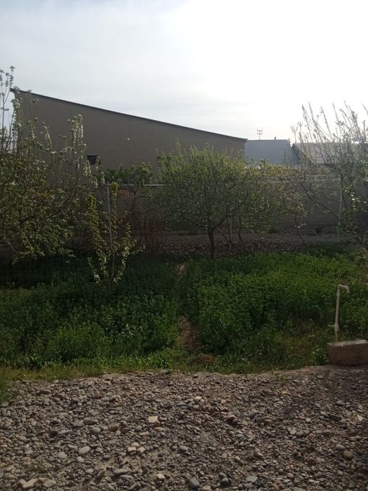 Педколеж истиклол туйхонани оркаси