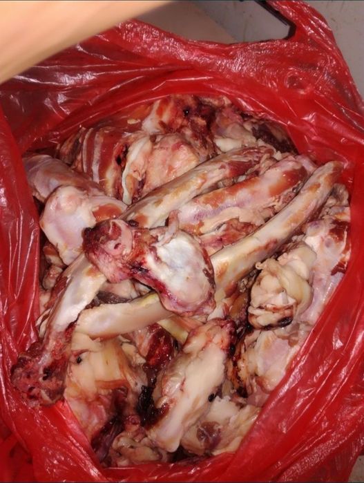 Кости для собаки.  Постоянно будет