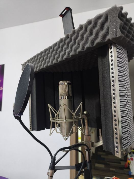 Microfon profesional de studio Warm Audio Wa47-jr