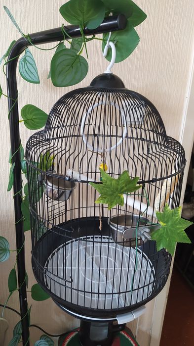 Продам клетку на подставке.