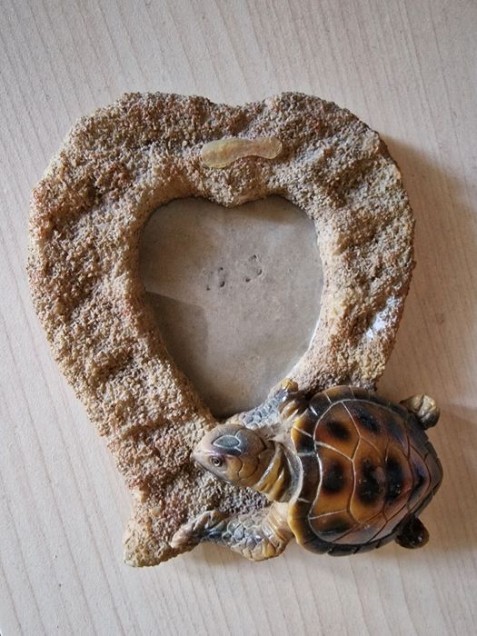 Rama foto cu broscuta