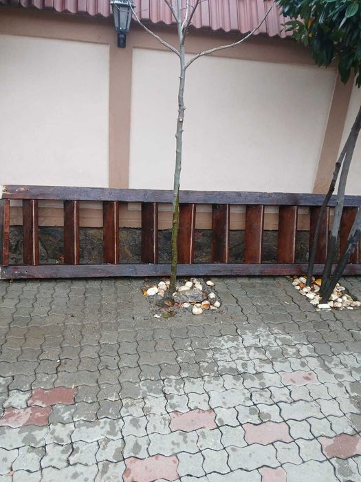 vand scara din lemn pentru pod