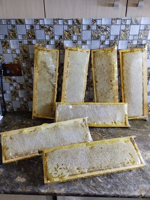 Сотовый мед со своей пасеки