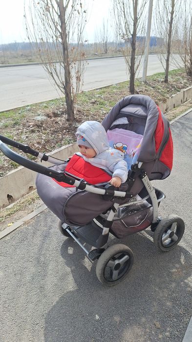 Детская коляска  Adamex Young