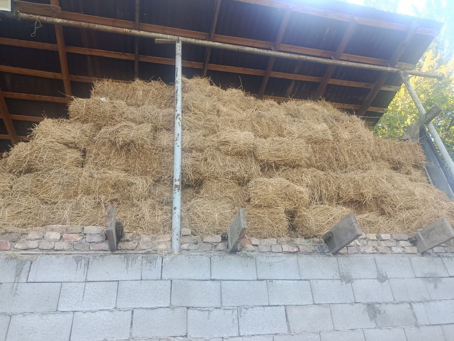 Продам сено люцерна