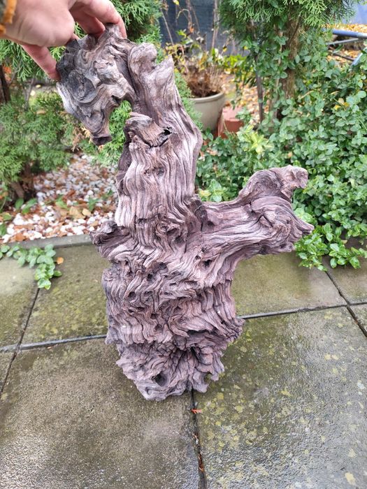 Lemn decor pentru acvariu