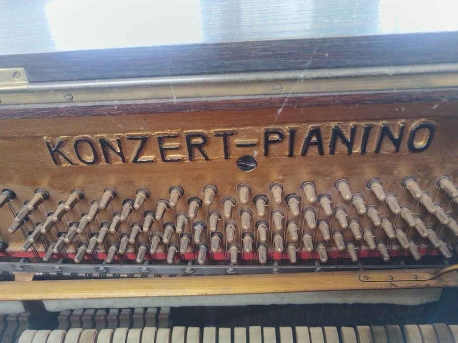 Пиано KONZERT Pianini klavier niederlagee