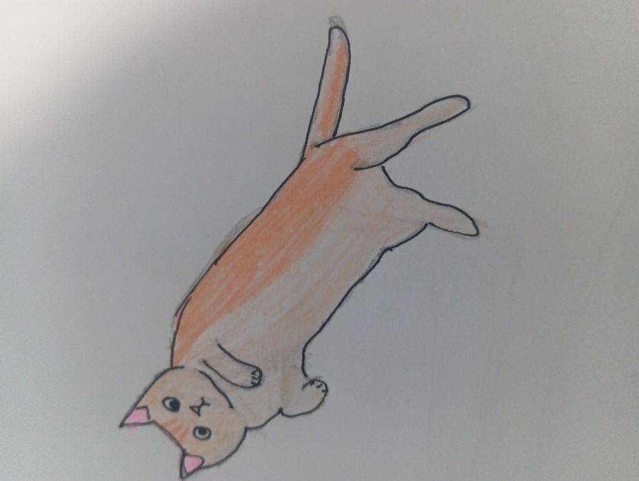 Рисую ваших домашних питомцев и вас) оплата на каспи 200 тенге