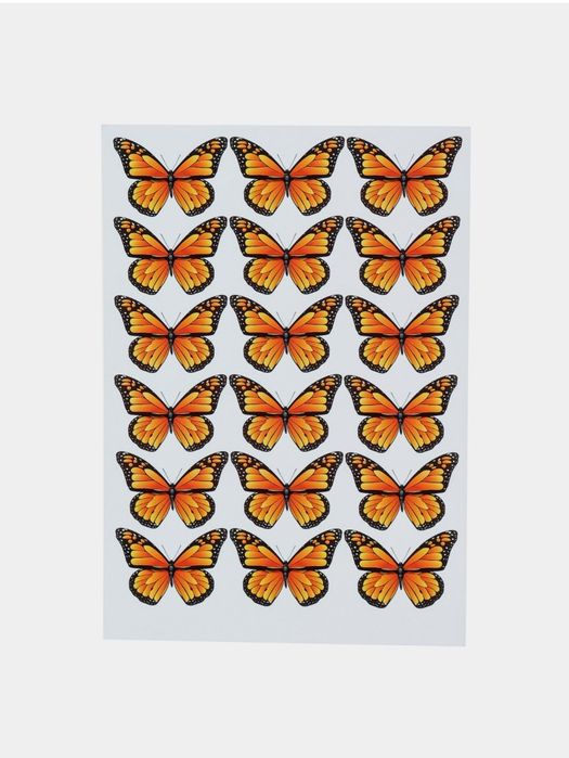 Guldasta uchun Kapalaklar rasm 20x30 foto