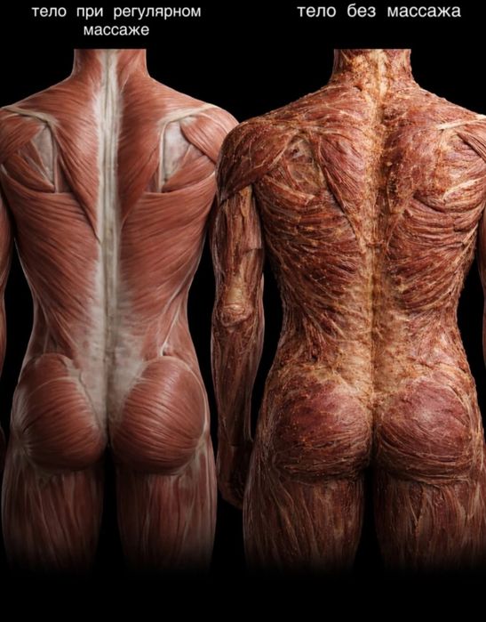 Массаж с выездом и без