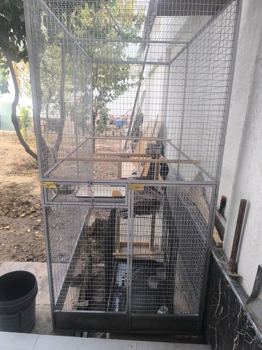 Вольер срочно сотилади