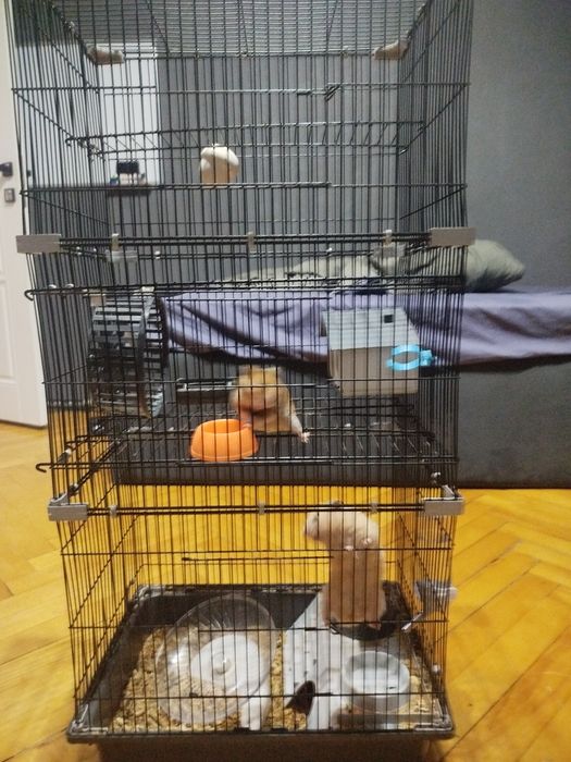 5 этажная клетка + комплект