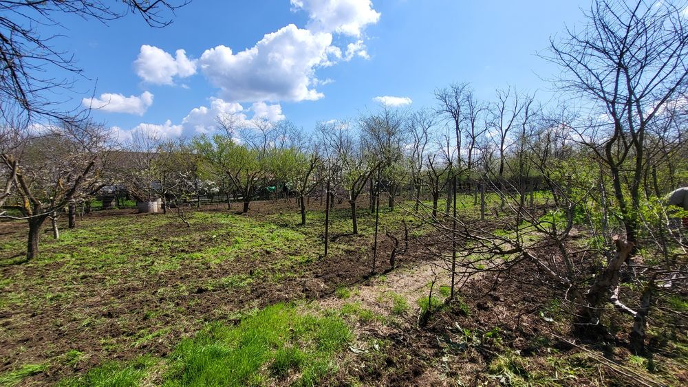 Toaletari pomi/vie/pregătiri gradini