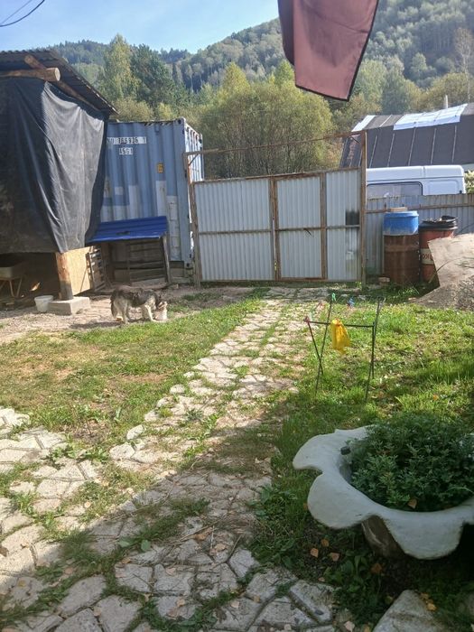 Продам дачу_пасеку на шаравке