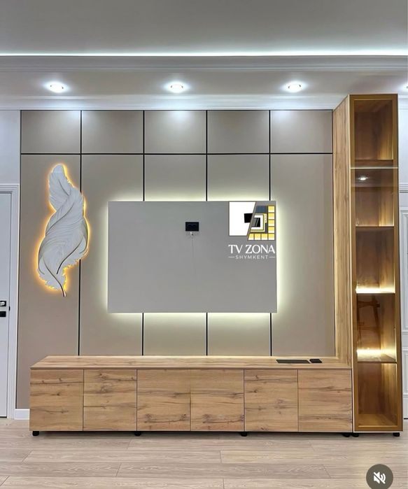 Тв зона Алматы зона для тв