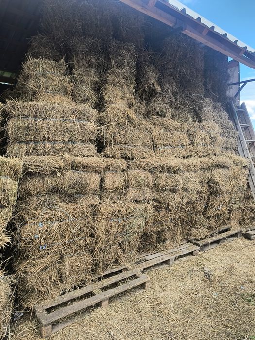 Baloți de lucernă