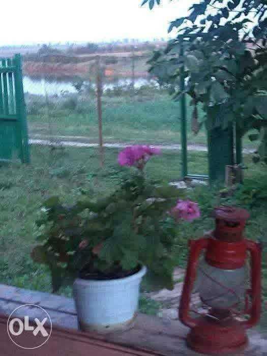 Vand casa la tara cu vedere la balta