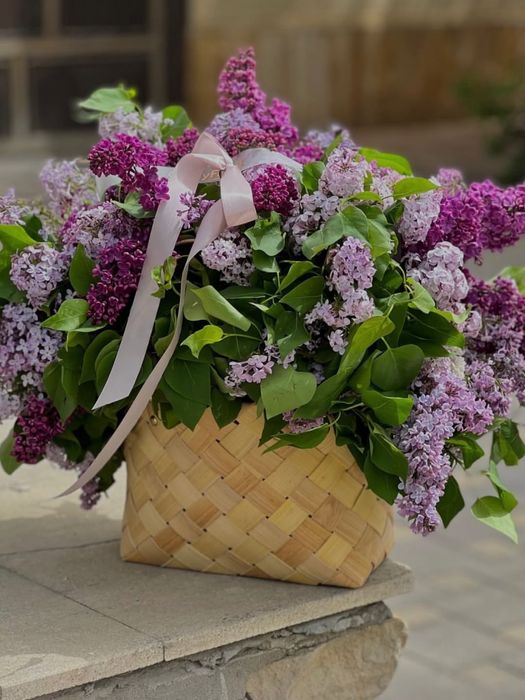 Сирень свежая пушистая