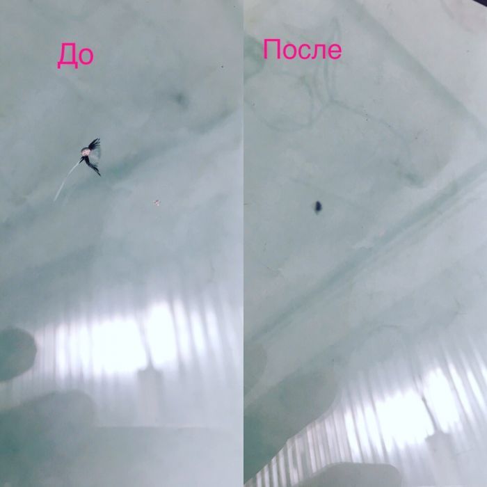 Ремонт Автостекол (трещины, сколы)