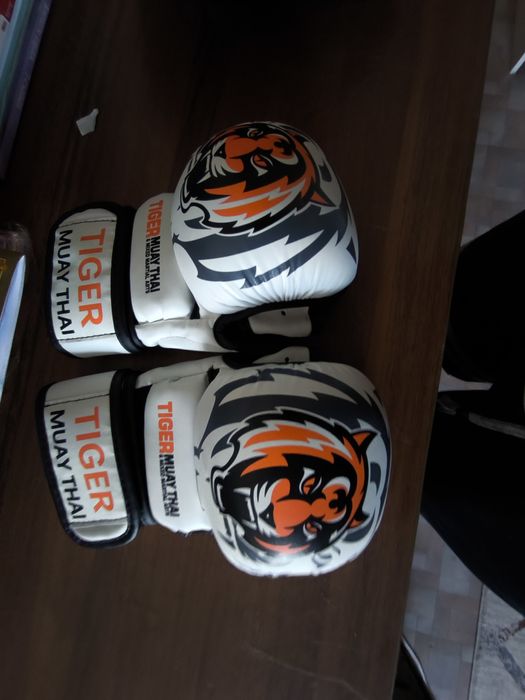 Шлем,перчатки для мма