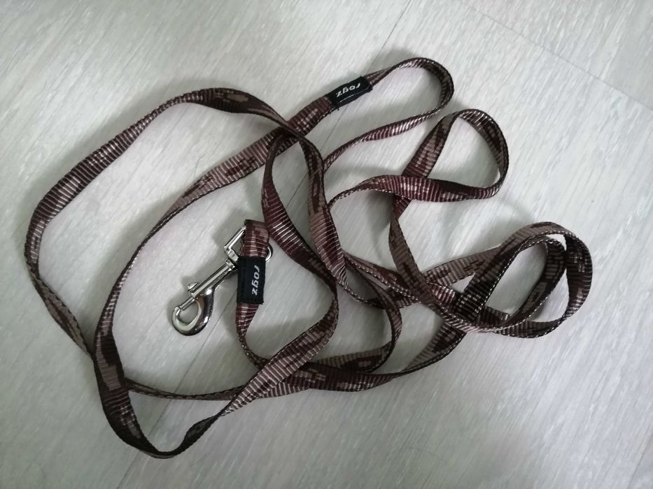 Нагръдник и повод за декоративна порода куче - безплатна доставка