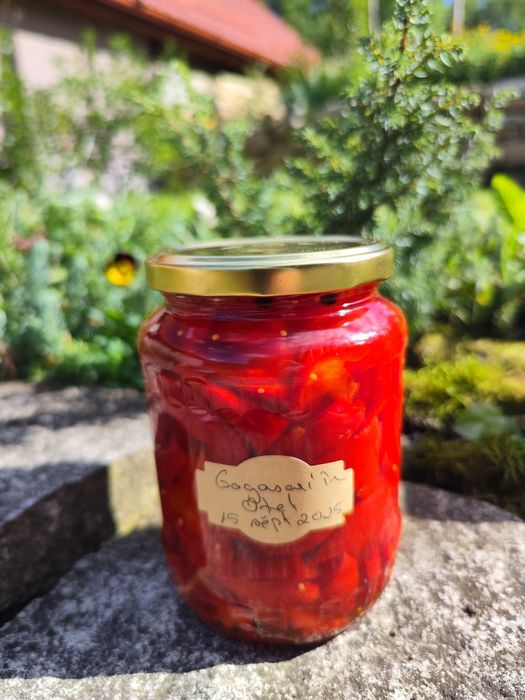 Zacusca, murături și alte conserve pt iarna