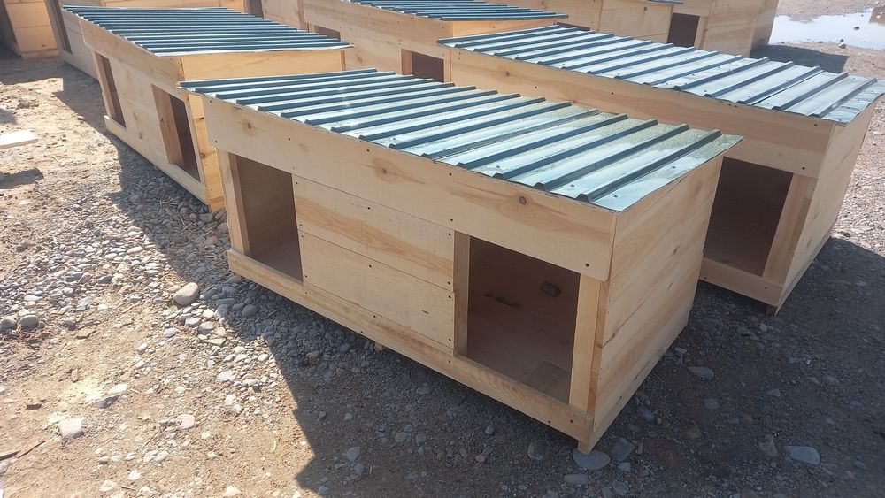 Собачье     будка