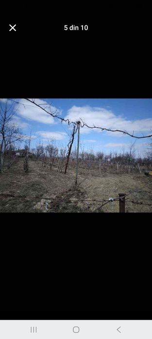 Vand casa plus teren 3700mp sat Manjesti liniste natura si mult potential