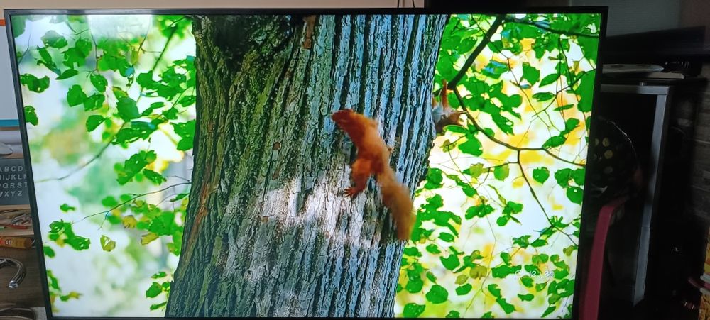 Sony KD-65XG8096 ANDROID 4K.UltraHD.