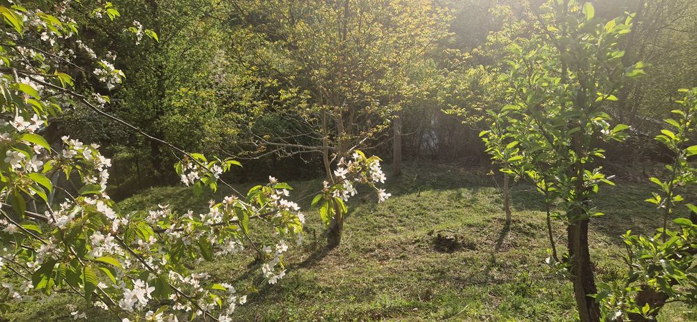 Продава се Къща в с. Свидня, Област София-област - 60 кв.м за 1020 €/кв.м - Снимка #3