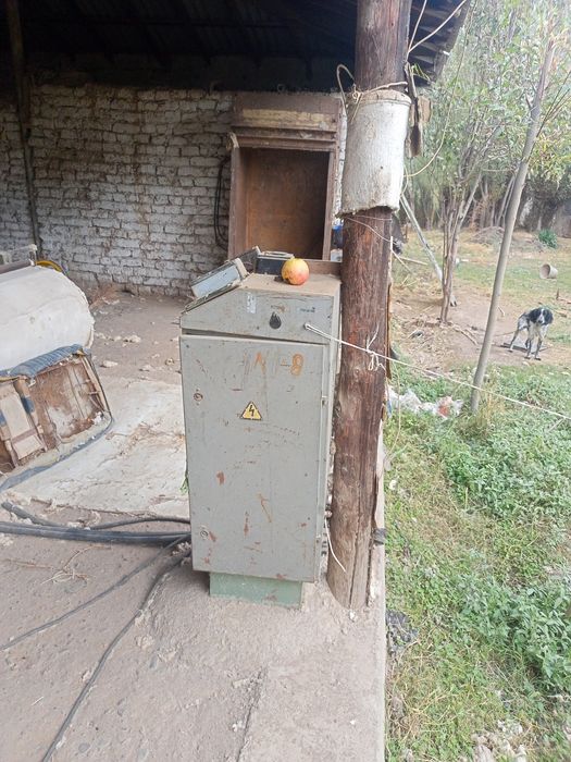 Tayyor biznes paxtasex