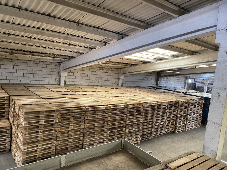 Paleti lemn euro epal 800x1200