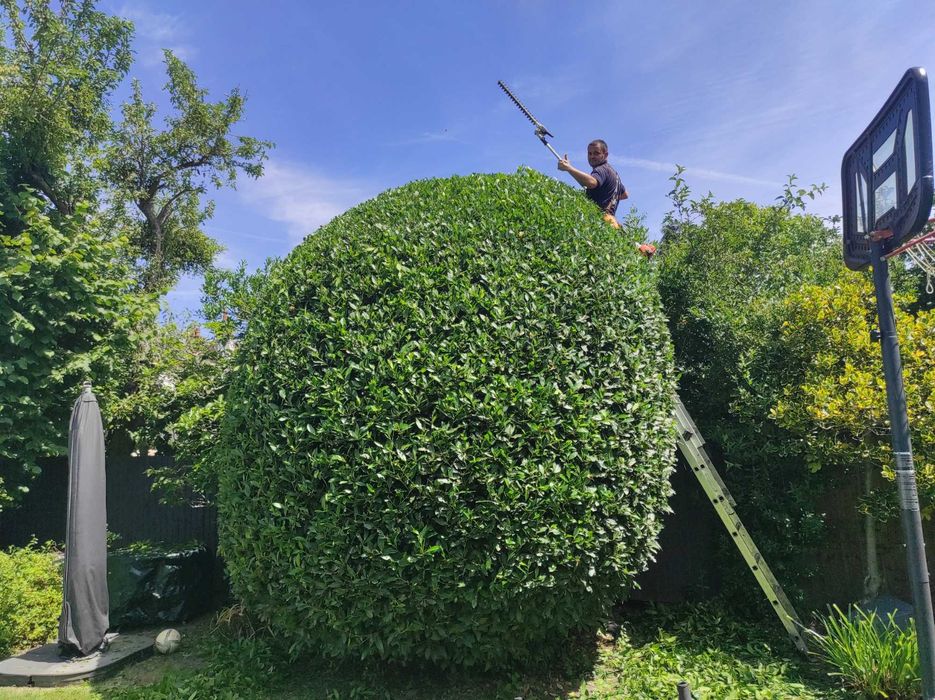 Почистване и подръжка на градини