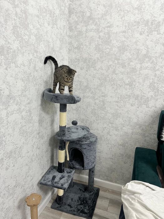 Игровая для котов