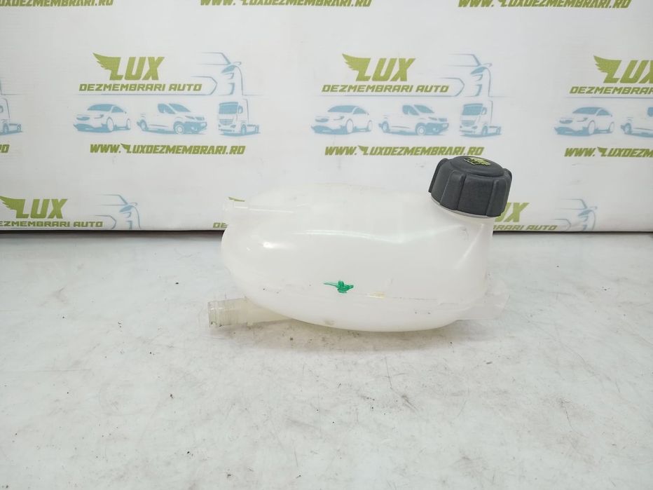 Vas antigel 217102572r Renault Captur 2 (2019 - 2020)