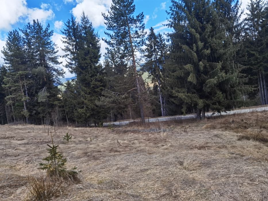 Продава се Земеделски имот в Сърница -  кв.м за 45 €/дка - Снимка #3