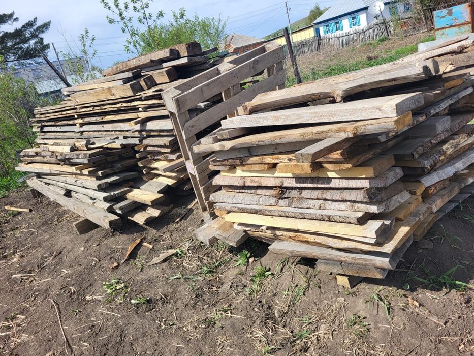 Туалет и сосны.