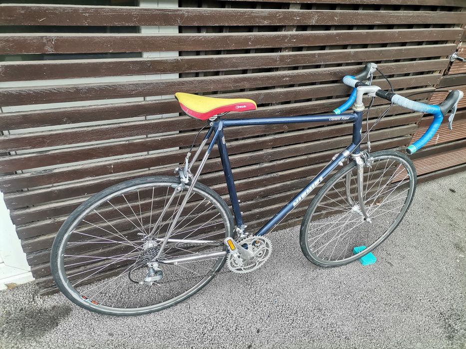 Cursieră Nishiky Japonia