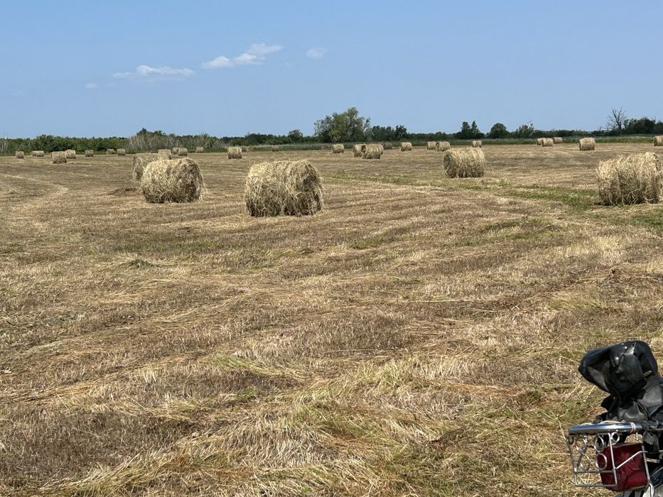 Продам Сено в рулонах