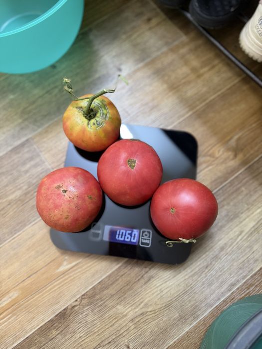 Дачная продукция