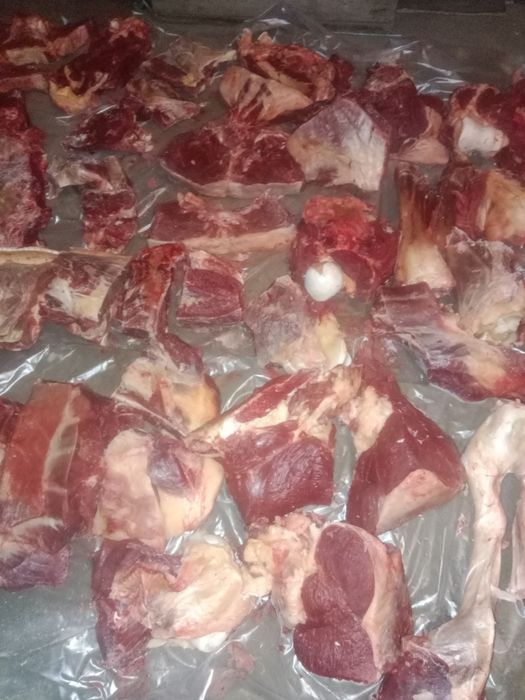 Продам кунан пол