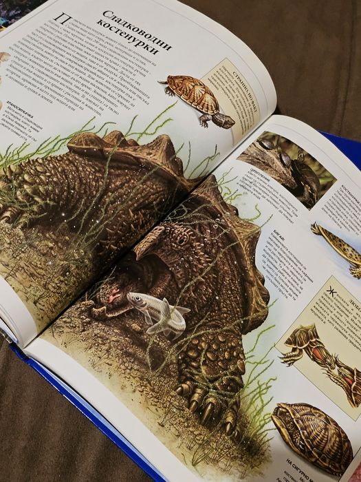 Комплект енциклопедии с твърди корици - "Морето" част 1 и част 2